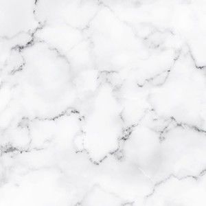 Meet your Posher, Charlotte